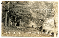 Worthington Road in fall &#039;Maple Drive,&#039;