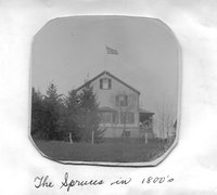 The Spruces in the 1800&#039;s