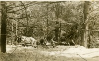 Logging with Horses - Earl Robinson, Dan Porter, David McEwan