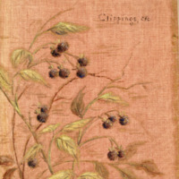 2006a-267a.tif