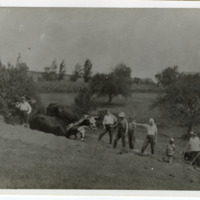 2024-168e.tif