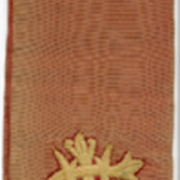 2006a-311a.tif
