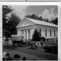 Team of Oxen Pulling a Covered Wagon - Worthington Bicentennial Parade