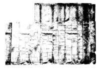 ringville_comp_huffman.tif
